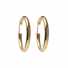 Earrings - 14 carat gold